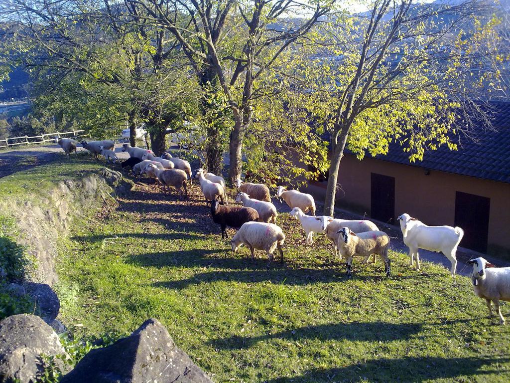 桑特琼勒斯芳特 加达蒙之家旅舍旅舍 外观 照片